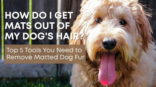 How Do I Get Mats Out of My Dog's Hair?
