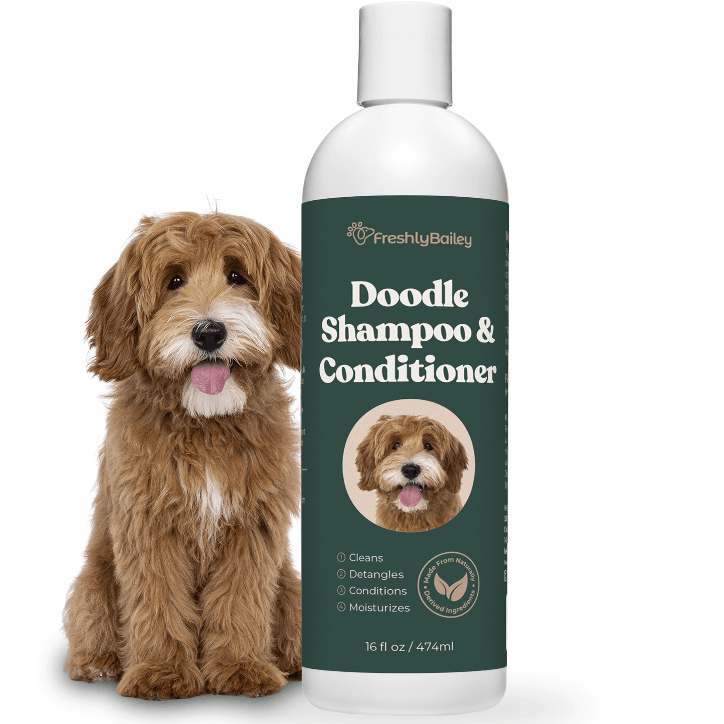 doodle shampoo conditioner for curly coats