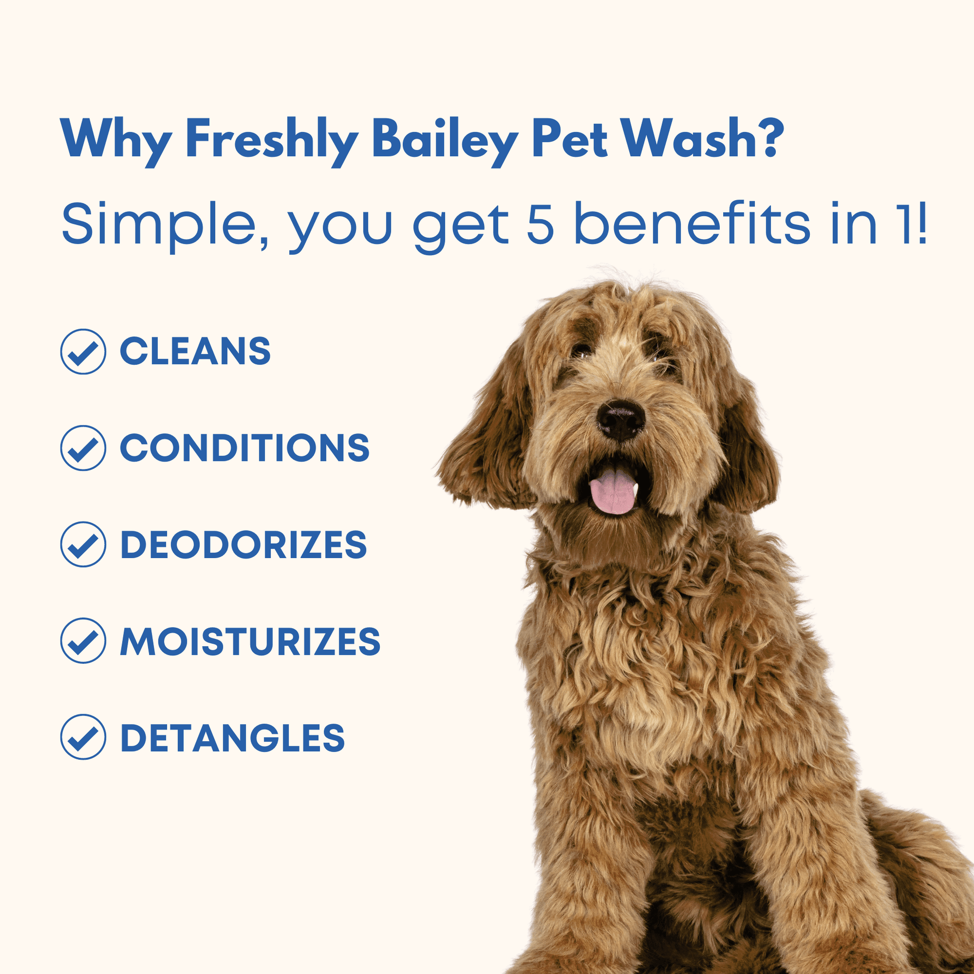 Why Freshly Bailey Pet Wash