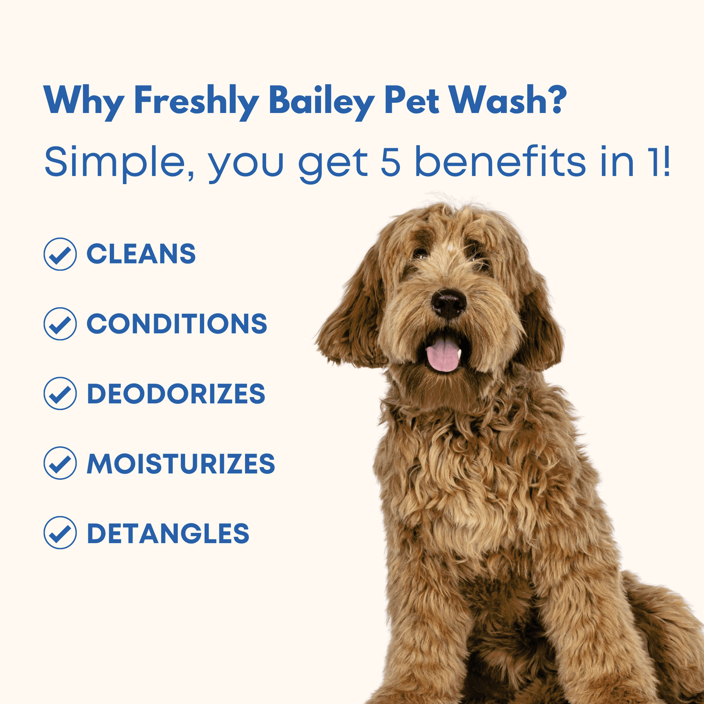 Why Freshly Bailey Pet Wash 