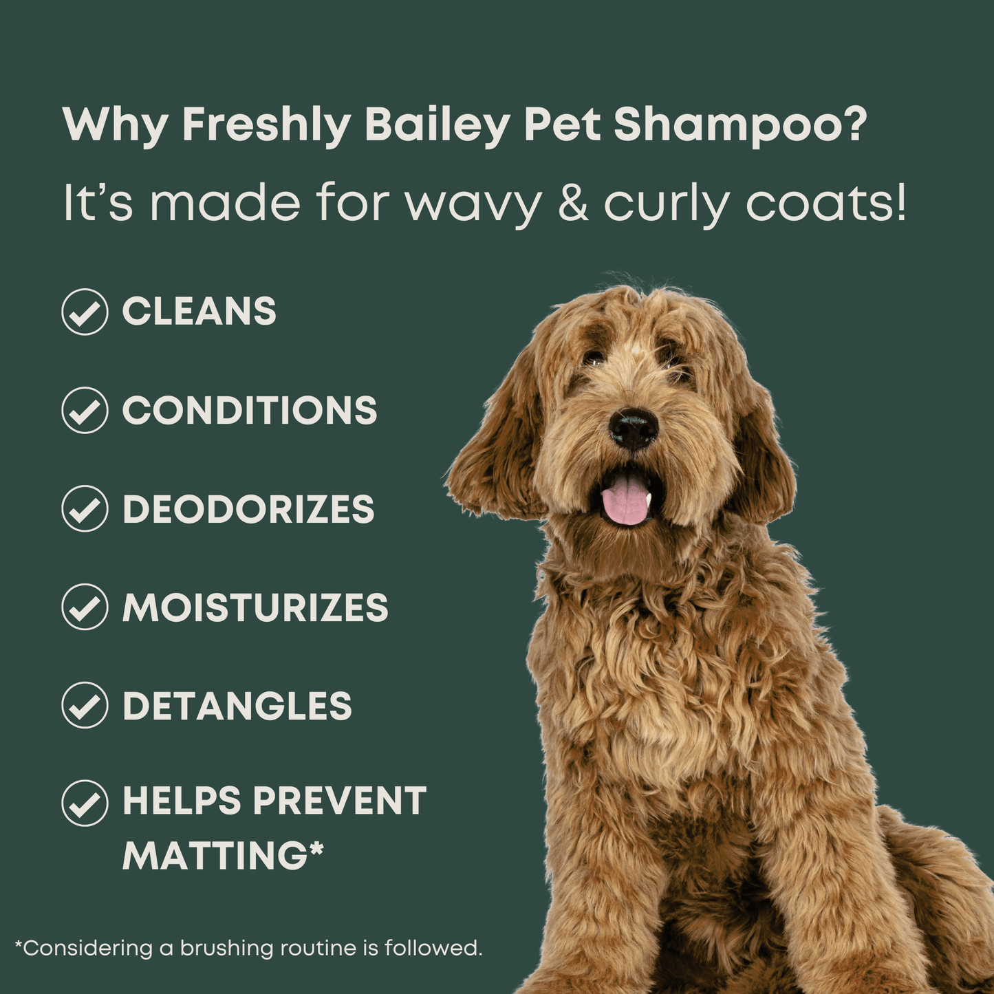 bathing a goldendoodle with doodle shampoo