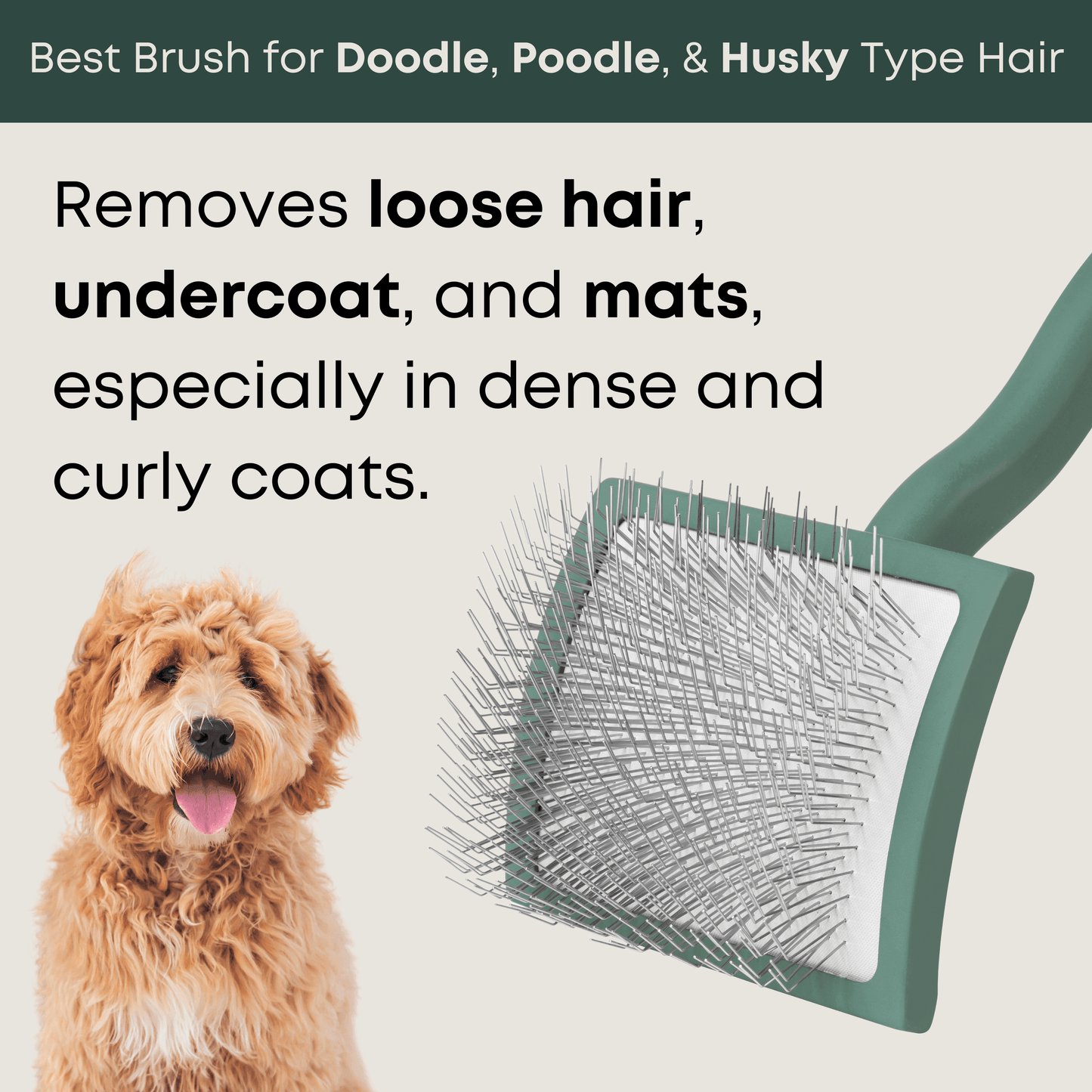 best slicker brush for doodle, poodle, goldendoodle hair