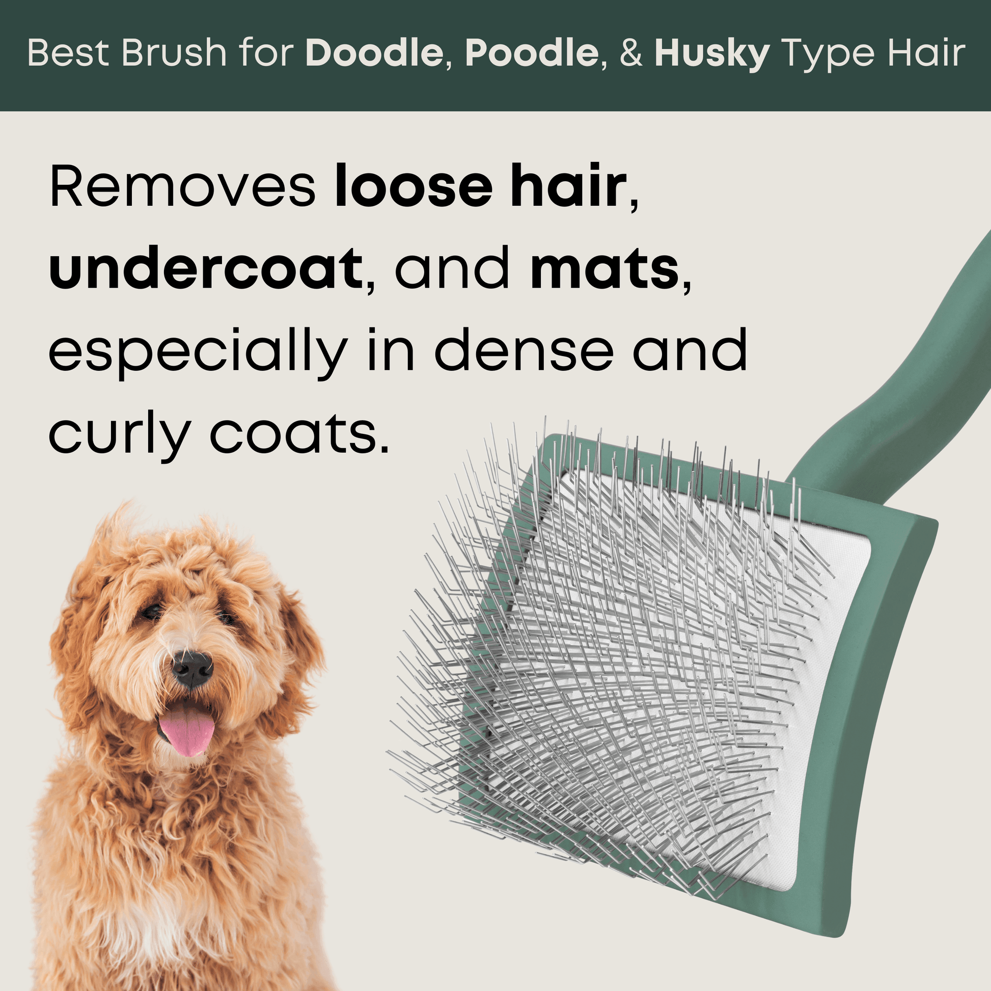 best slicker brush for doodle, poodle, goldendoodle hair