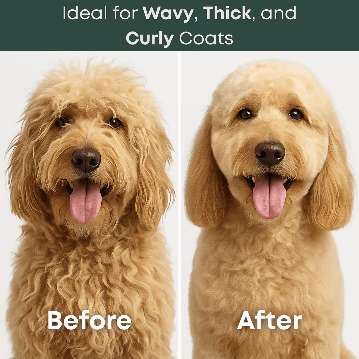 before and after dog grooming using Freshly Bailey dematting tool