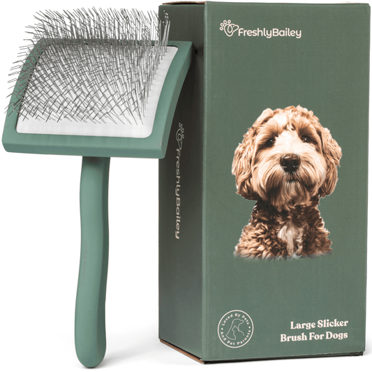 slicker brush for goldendoolde poodle doodle