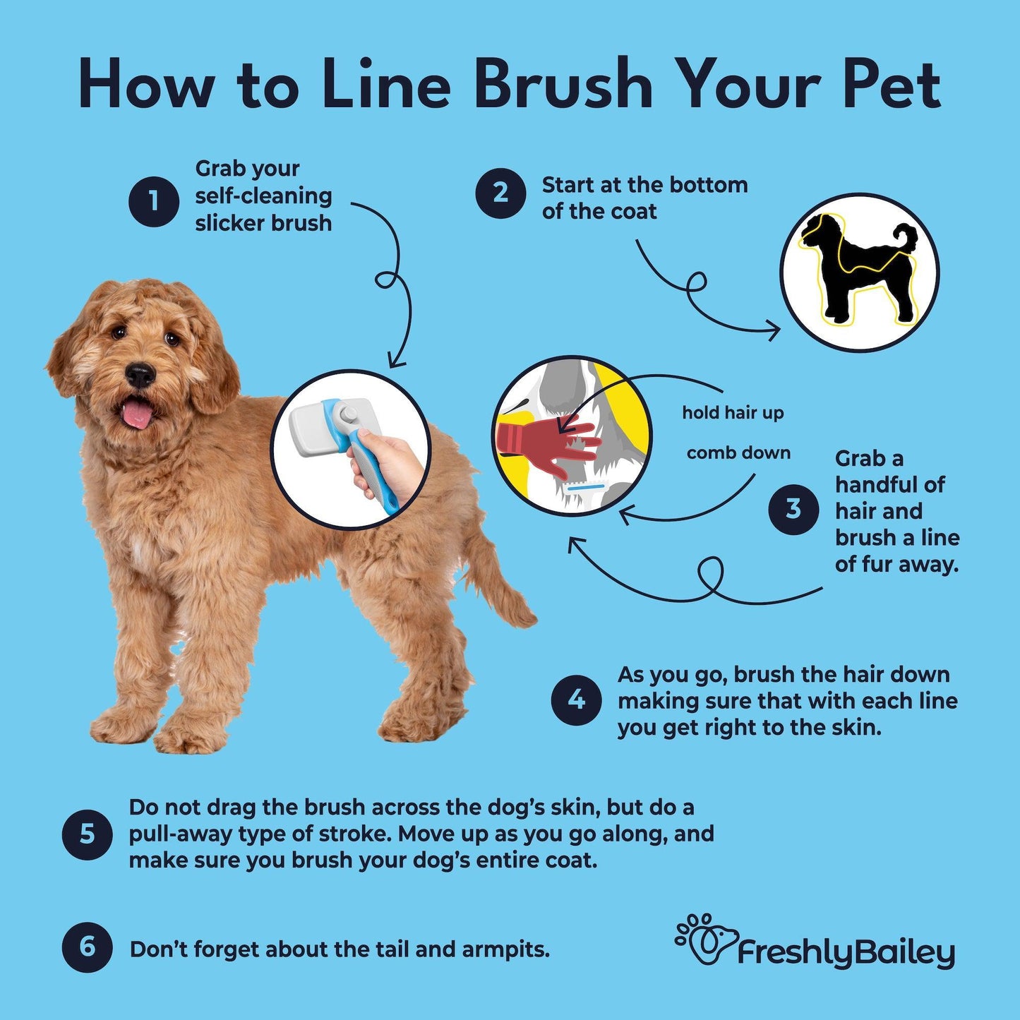 Self Cleaning Slicker Brush - Freshly Bailey