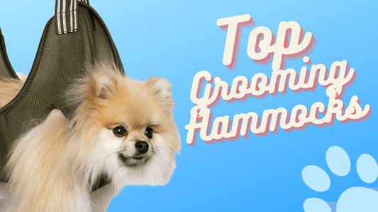 Top 3 Dog Grooming Hammocks - Freshly Bailey