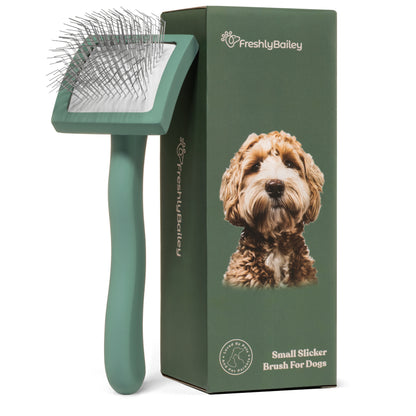 Slicker Brush for Goldendoodles, Poodles & Doodles