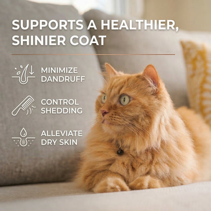 Omega 3 Fish Oil for Cats