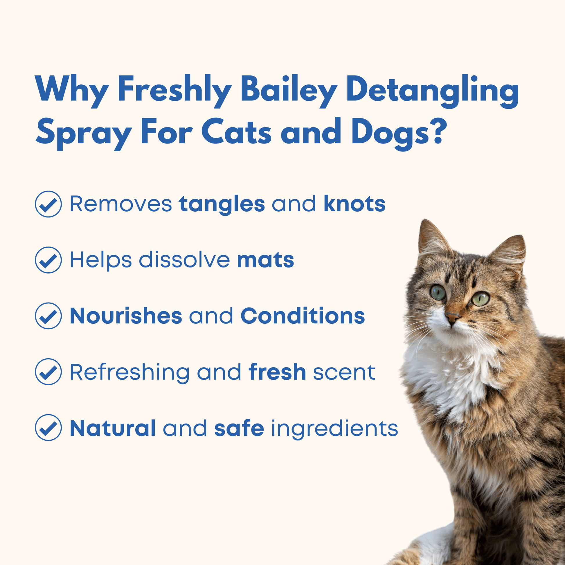 Detangling Spray 16 fl oz