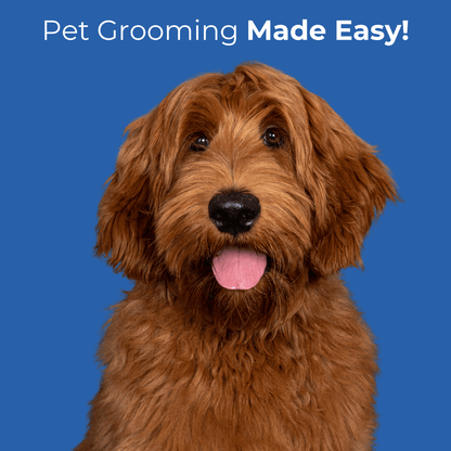 Pet grooming made easy - goldendoodle sticking tongue 