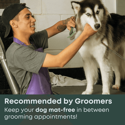 Long-Pin Slicker Brush for Dogs