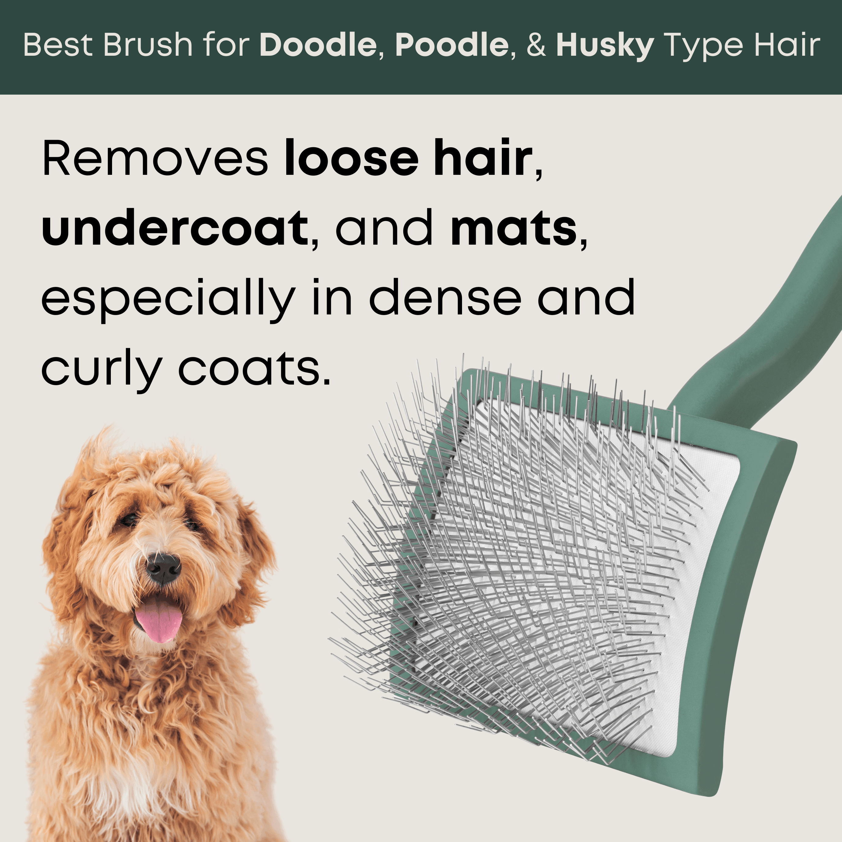 Goldendoodle Brush For Curly Hair Dog Slicker Brush Best Dog