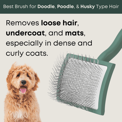 best slicker brush for doodle, poodle, goldendoodle hair