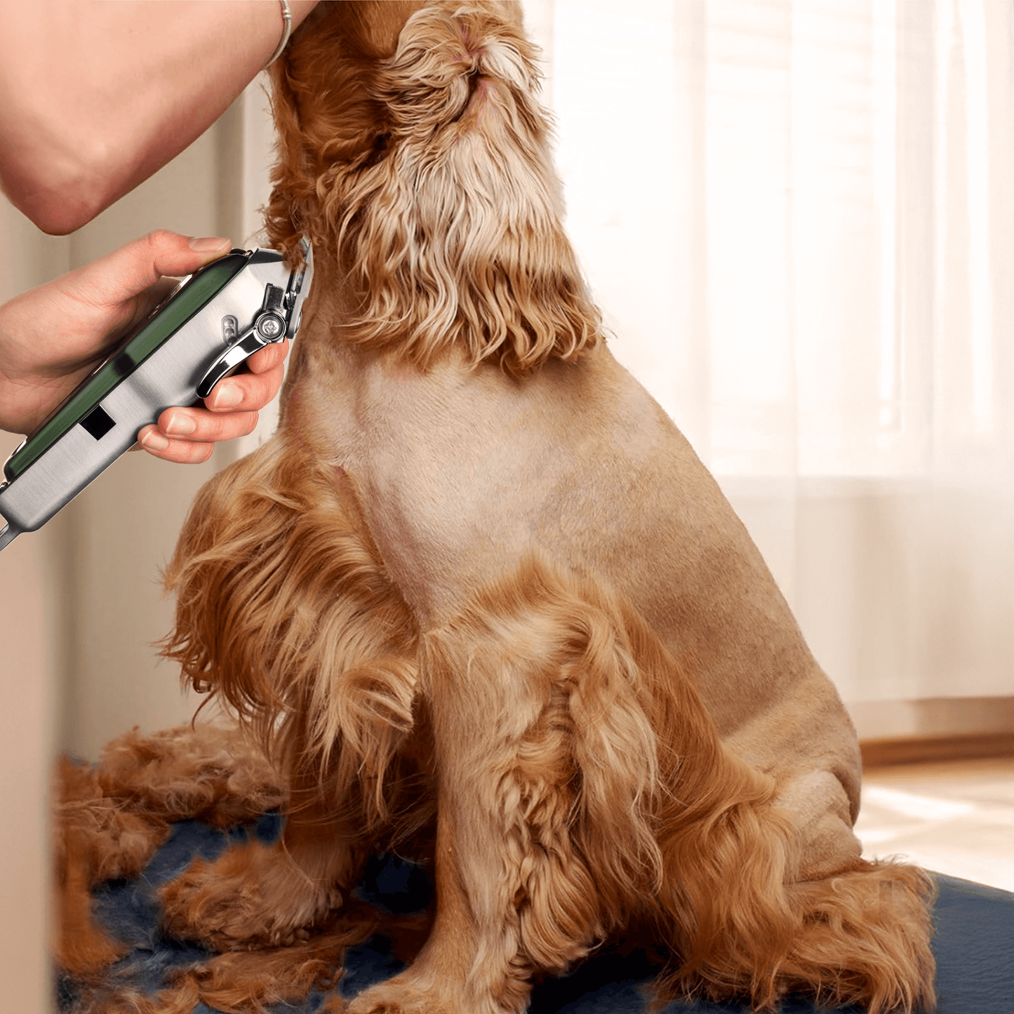 Pet Hair Clippers for Cats & Dogs