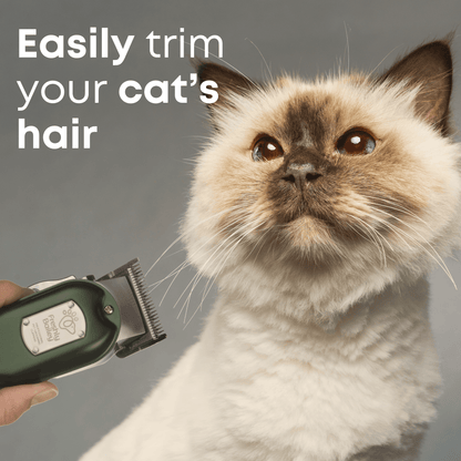 Cat hair clippers long hair hotsell