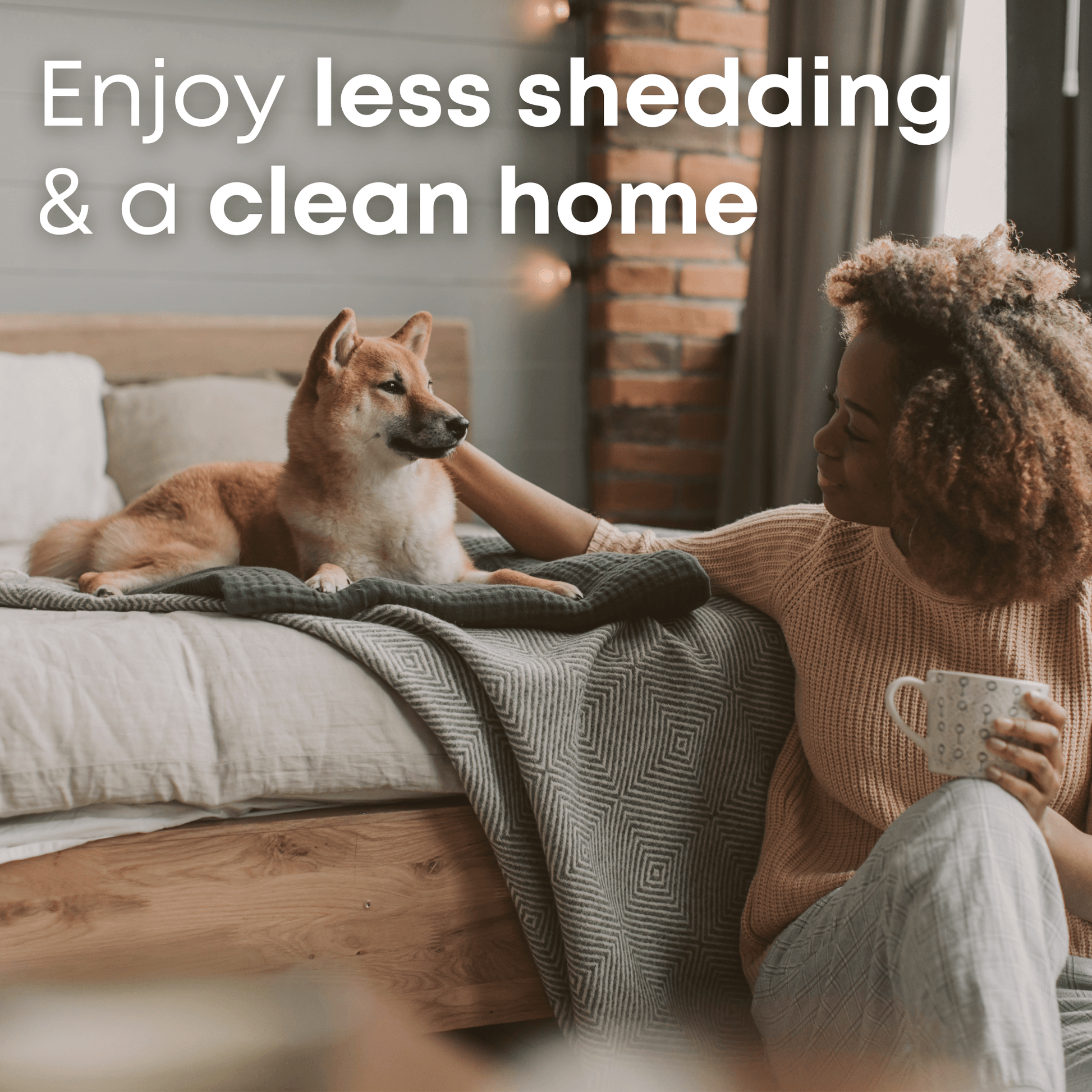 dematting and deshedding tool for dogs