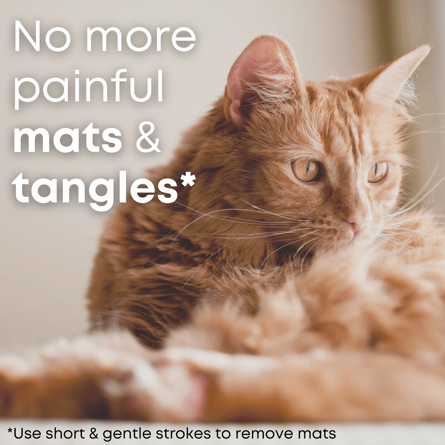 Get rid of cat matted fur 