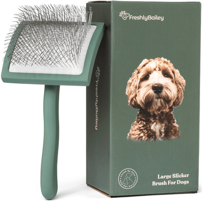 slicker brush for goldendoolde poodle doodle